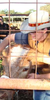 Bevo XIV, American collegiate mascot (University of Texas at Austin), dies at age 13