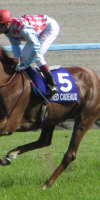 Red Cadeaux, British-bred racehorse, dies at age 9