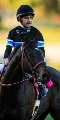 Shared Belief, American racehorse, dies at age 4