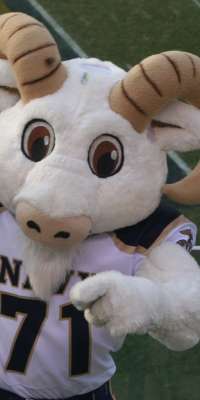 Bill XXXV, American Angora goat mascot (United States Naval Academy), dies at age 2