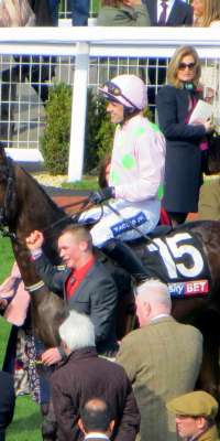 Vautour, French-born Irish-trained racehorse, dies at age 7