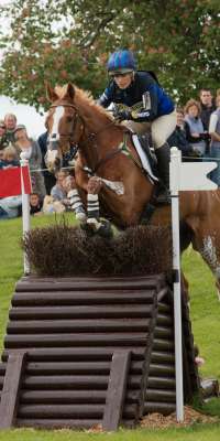Toytown, British event horse., dies at age 24