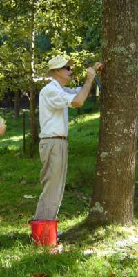 Bob Berry, New Zealand dendrologist., dies at age 102