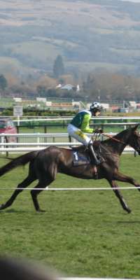 Denman, British racehorse., dies at age 18