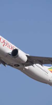 Ethiopian Airlines Flight 302 plane crash, Italian archeologist and politician., dies at age 66