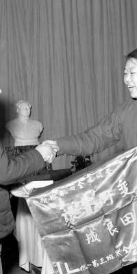 Liang Jun, Chinese tractor driver., dies at age 90