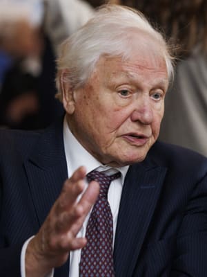 David Attenborough dead?