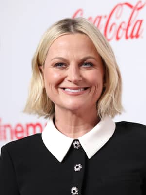 Amy Poehler dead?