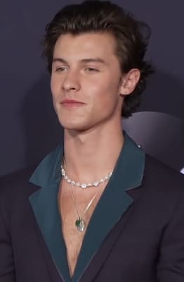 Shawn Mendes dead?