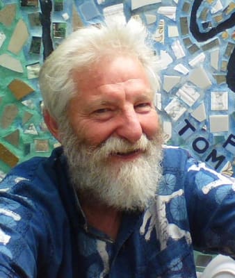 Zagar in his Magic Gardens (2007)