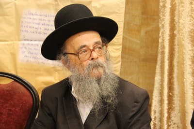Dovid Shmidel, 2014