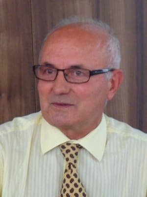 Kasagić in 2013