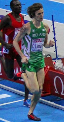 Ó Lionáird in 2013