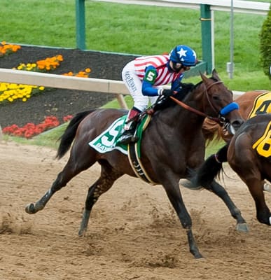 Bayern, American Thoroughbred racehorse, died on July 5, 2026