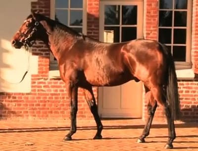 Motivator, British Thoroughbred racehorse and sire, died on July 3, 2026