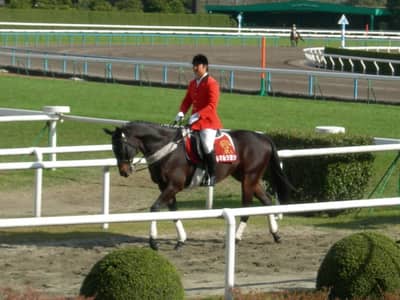 Tsurumaru Tsuyoshi, Japanese Thoroughbred racehorse, died on August 2, 2026