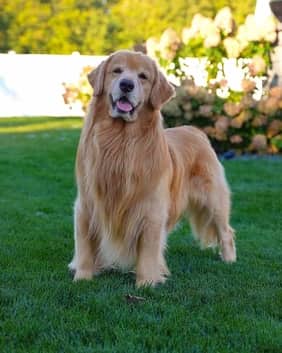 Tucker Budzyn, Social media influencer, died on September 2, 2026