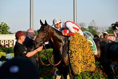 Early Voting, American Thoroughbred racehorse, died on October 20, 2026