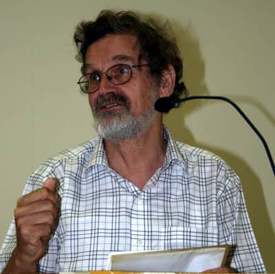 Josip Pečarić, Theory of inequalities, died on October 29, 2026