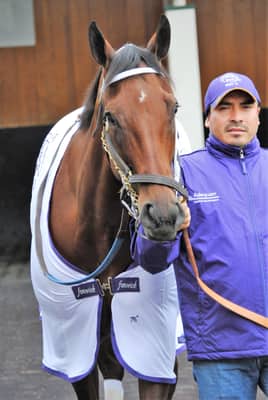 Roy H, complications from colic, died on October 2, 2026