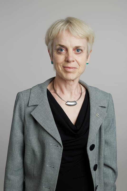 Dolphin in 2015