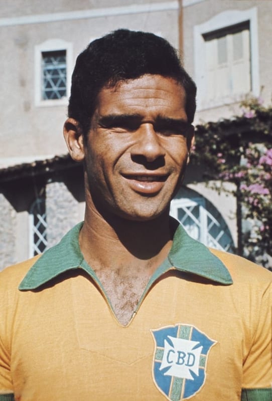 Brito, Botafogo, national team, died on June 11, 2026