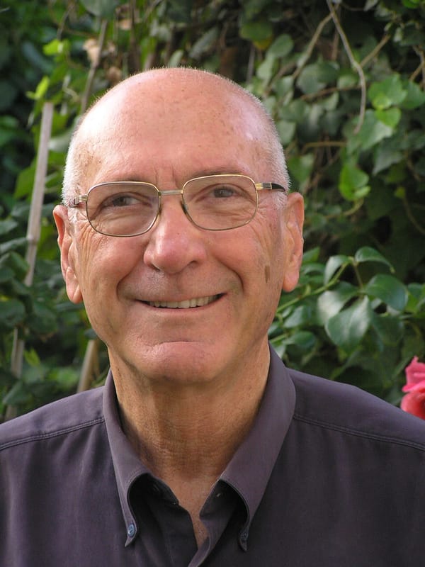 Arnon Soffer, Professor, died on August 14, 2026