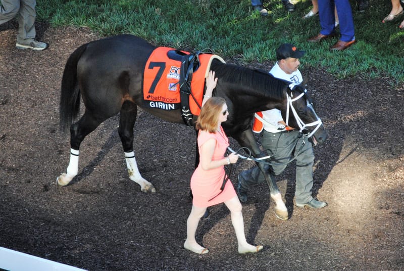 Girvin, American Thoroughbred racehorse, died on August 8, 2026
