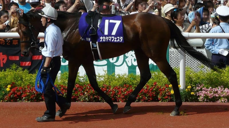 Nakayama Festa, Japanese Thoroughbred racehorse, died on August 23, 2026