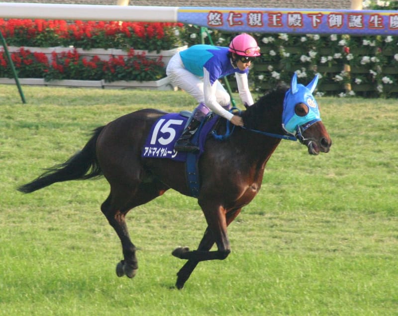 Admire Moon, Japanese Thoroughbred racehorse, died on September 7, 2026