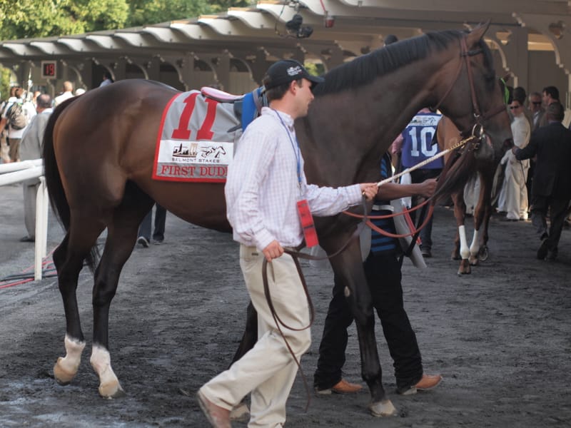 First Dude, American Thoroughbred racehorse, died on September 23, 2026