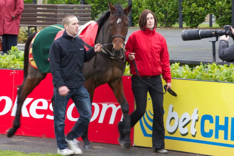 Hurricane Fly, Irish Thoroughbred racehorse, died on September 22, 2026