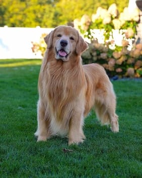 Tucker Budzyn, Social media influencer, died on September 2, 2026